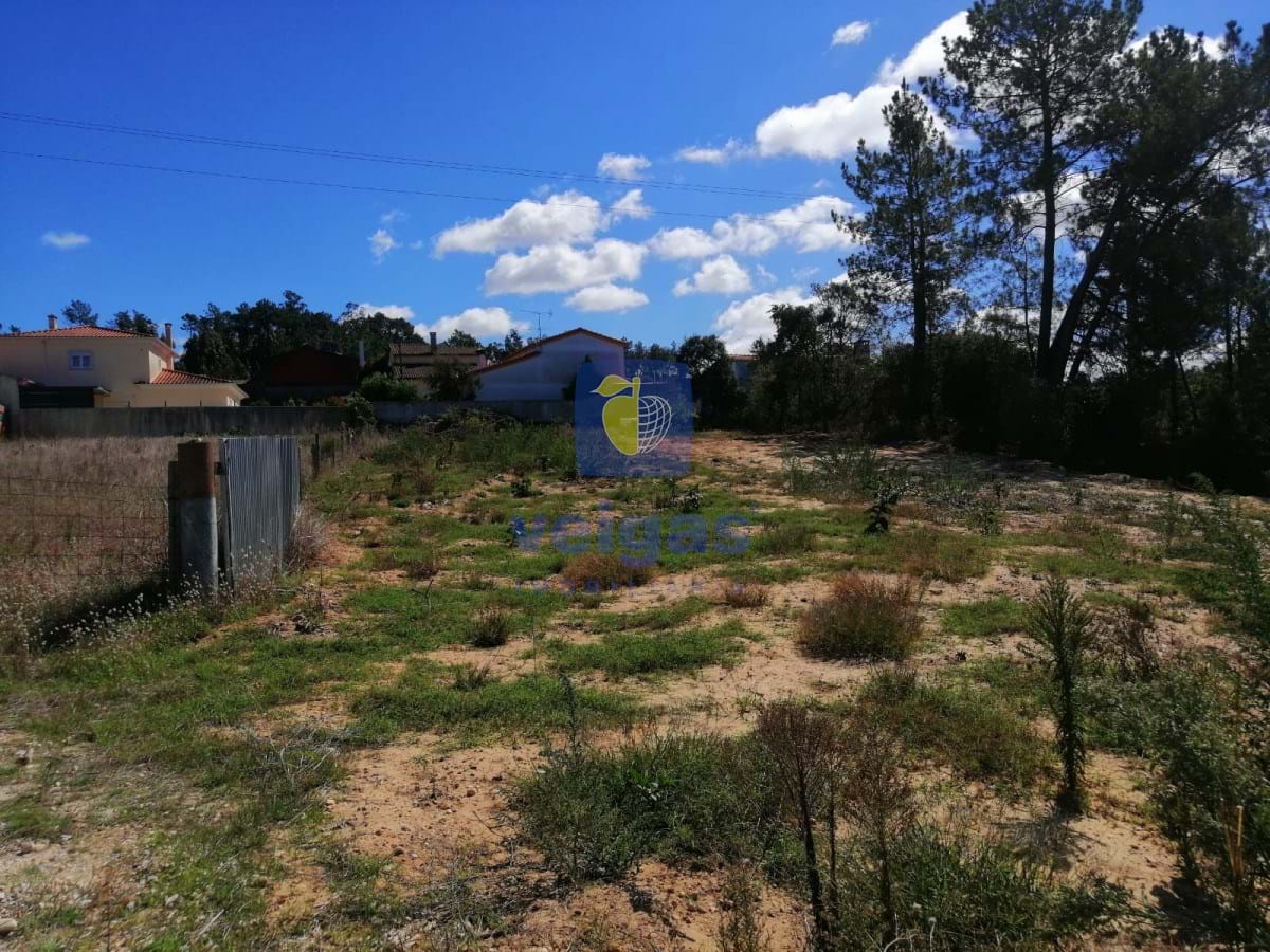 Terreno Urbano T0 - Amor, Leiria, Leiria - Miniatura: 6/10