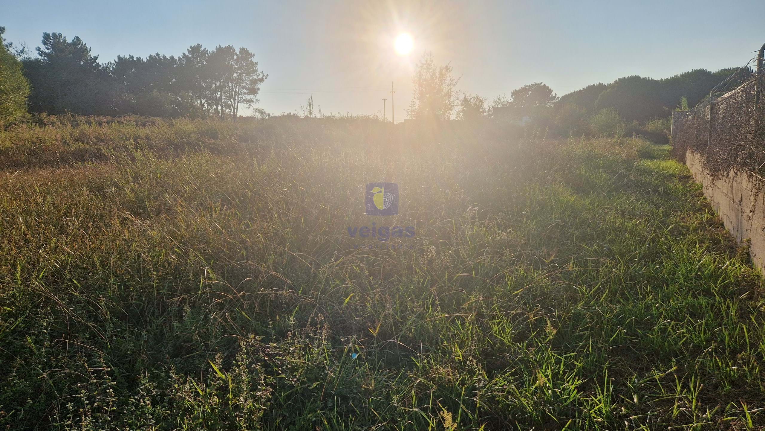 Terreno Urbano T0 - Maceira, Leiria, Leiria - Miniatura: 6/23