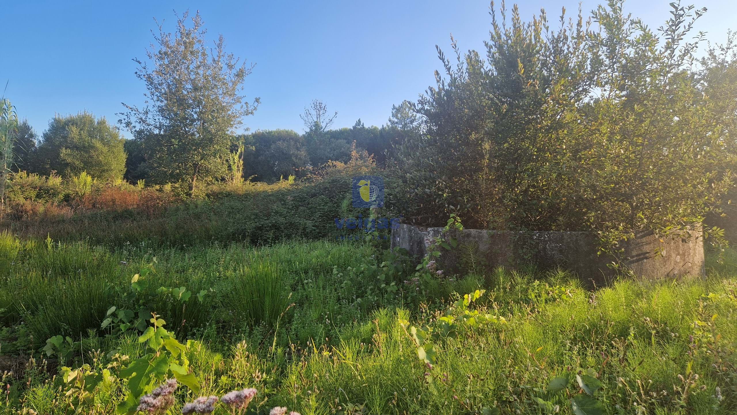 Terreno Urbano T0 - Maceira, Leiria, Leiria - Miniatura: 8/23