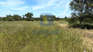 Terreno Urbano T0 - Fatima, Our�m, Santar�m - Miniatura: 9/12
