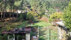 Armazm T0 - Arrabal, Leiria, Leiria - Miniatura: 12/19