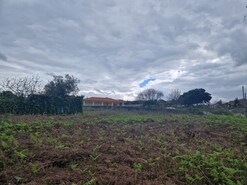 Terreno Urbano T0 - Batalha, Batalha, Leiria - Miniatura: 11/34