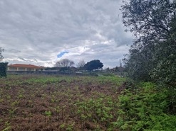 Terreno Urbano T0 - Batalha, Batalha, Leiria - Miniatura: 12/34