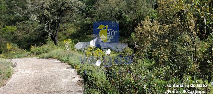 Moradia T1 - Cachopo, Tavira, Faro (Algarve) - Miniatura: 18/30