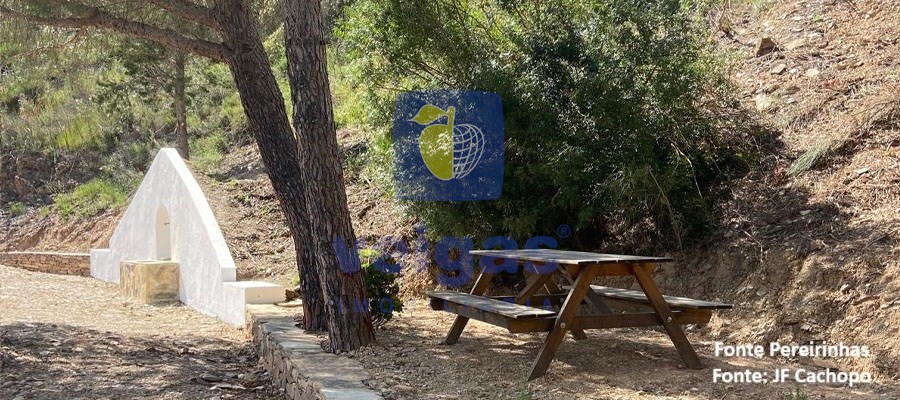 Moradia T1 - Cachopo, Tavira, Faro (Algarve) - Miniatura: 20/30