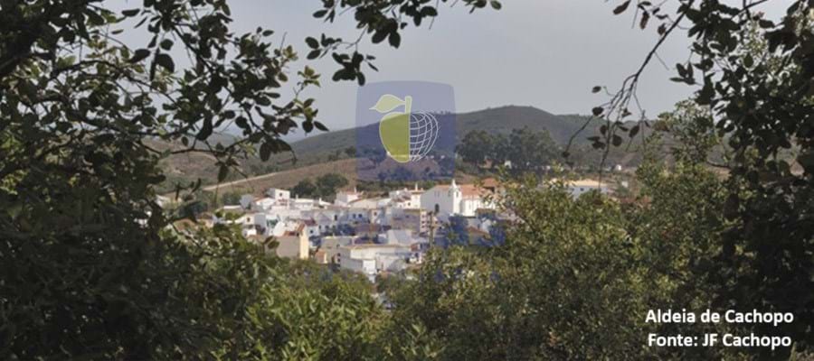 Moradia T1 - Cachopo, Tavira, Faro (Algarve) - Miniatura: 30/30