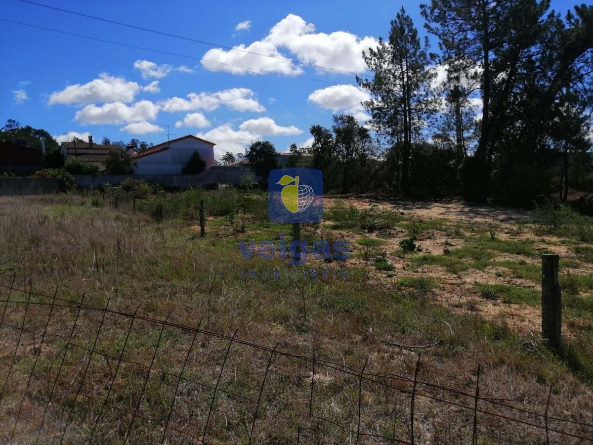 Terreno Urbano T0 - Amor, Leiria, Leiria - Miniatura: 6/10