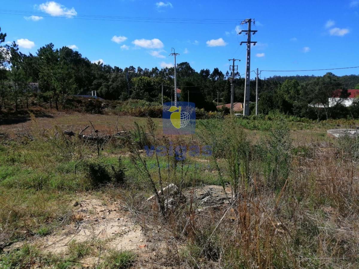 Terreno Urbano T0 - Amor, Leiria, Leiria - Miniatura: 7/10