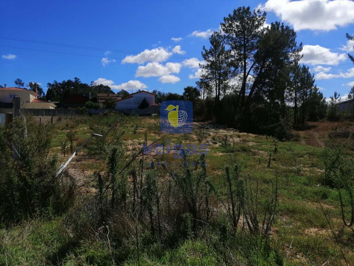 Terreno Urbano T0 - Amor, Leiria, Leiria - Miniatura: 8/10