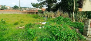 Armaz�m T0 - Marinha Grande, Marinha Grande, Leiria - Miniatura: 24/30