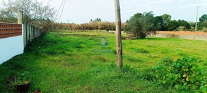 Armaz�m T0 - Marinha Grande, Marinha Grande, Leiria - Miniatura: 26/30