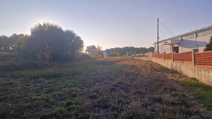 Terreno Urbano T0 - Maceira, Leiria, Leiria - Miniatura: 5/14