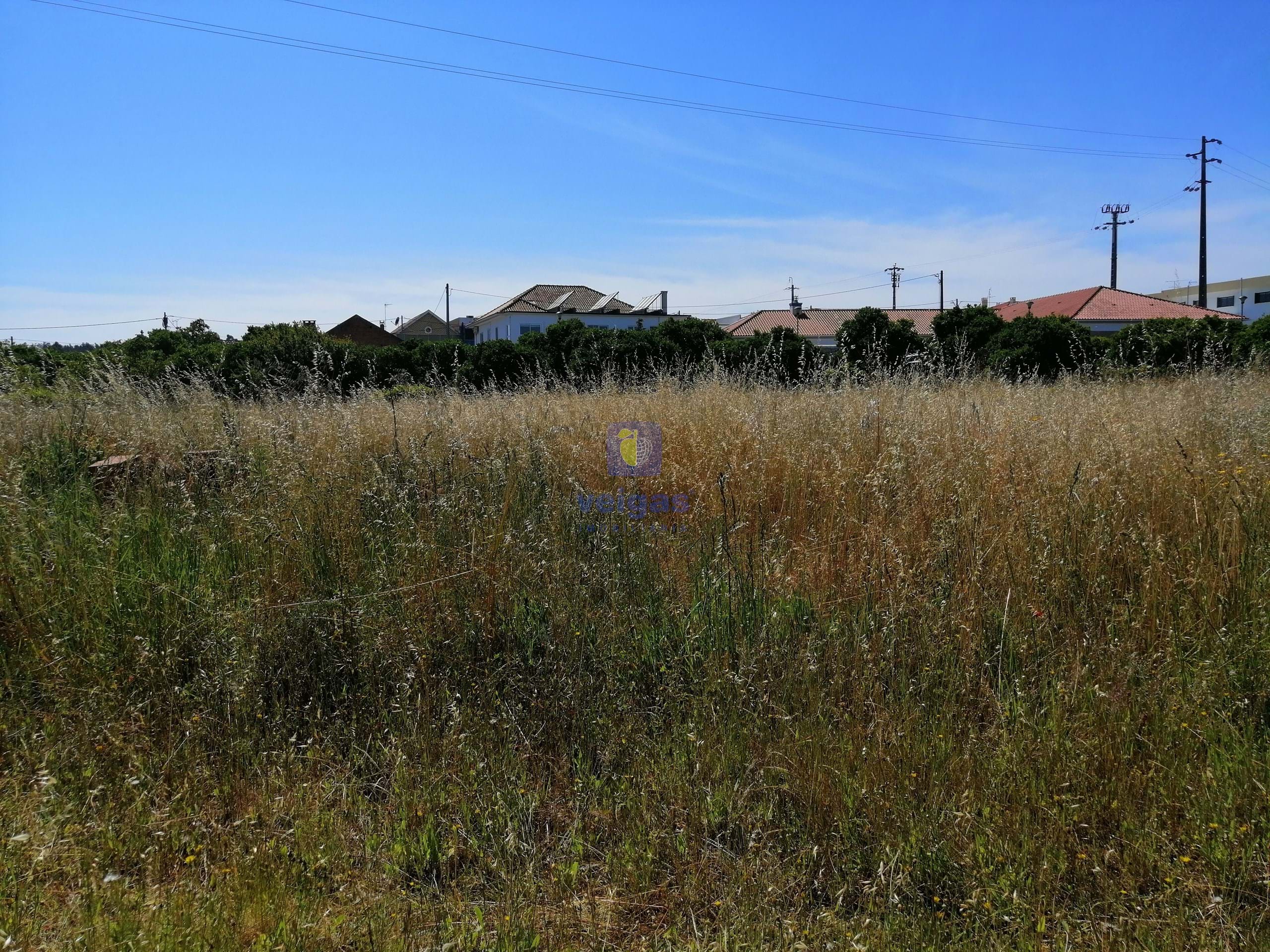 Terreno Urbano T0 - Parceiros, Leiria, Leiria - Miniatura: 18/20