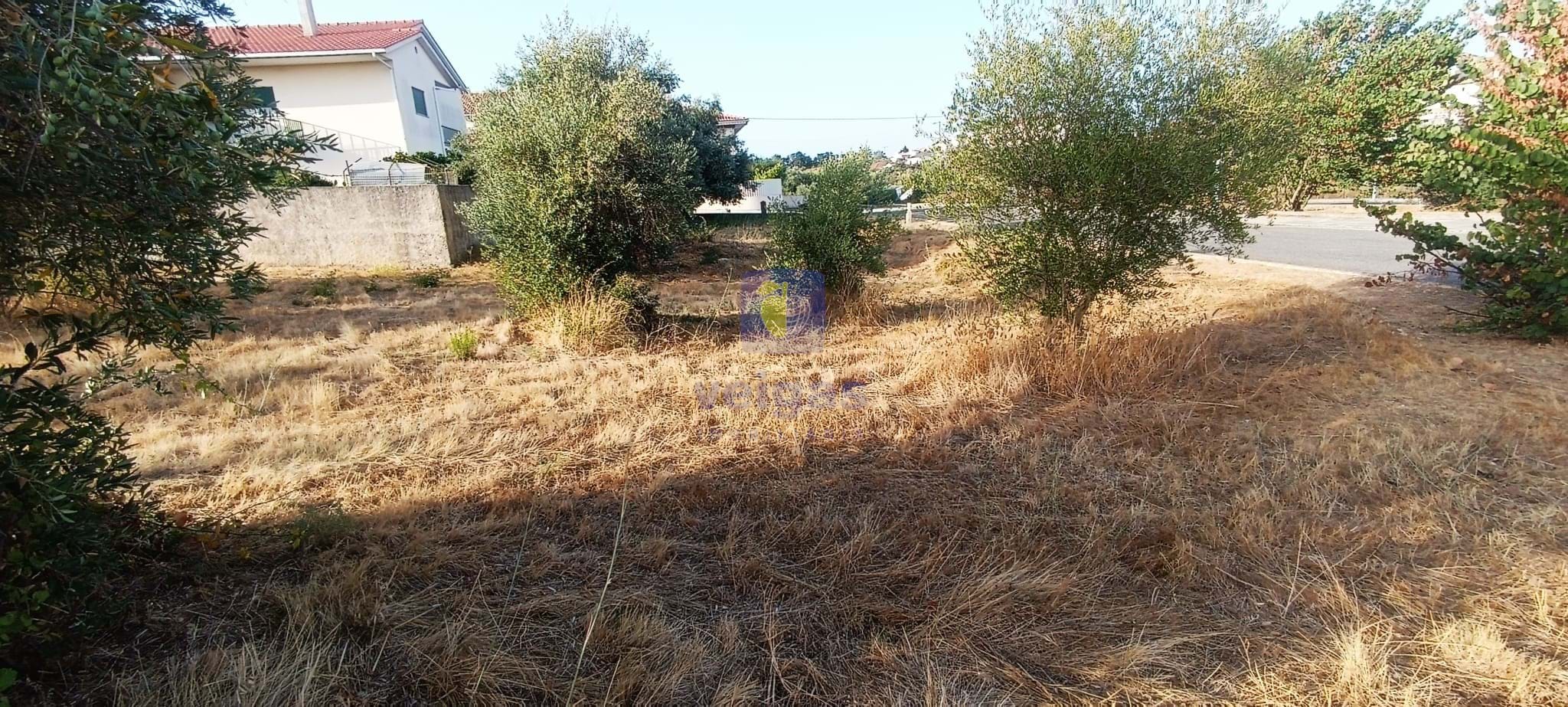 Terreno Urbano T0 - Alcanena, Alcanena, Santar�m - Miniatura: 4/14
