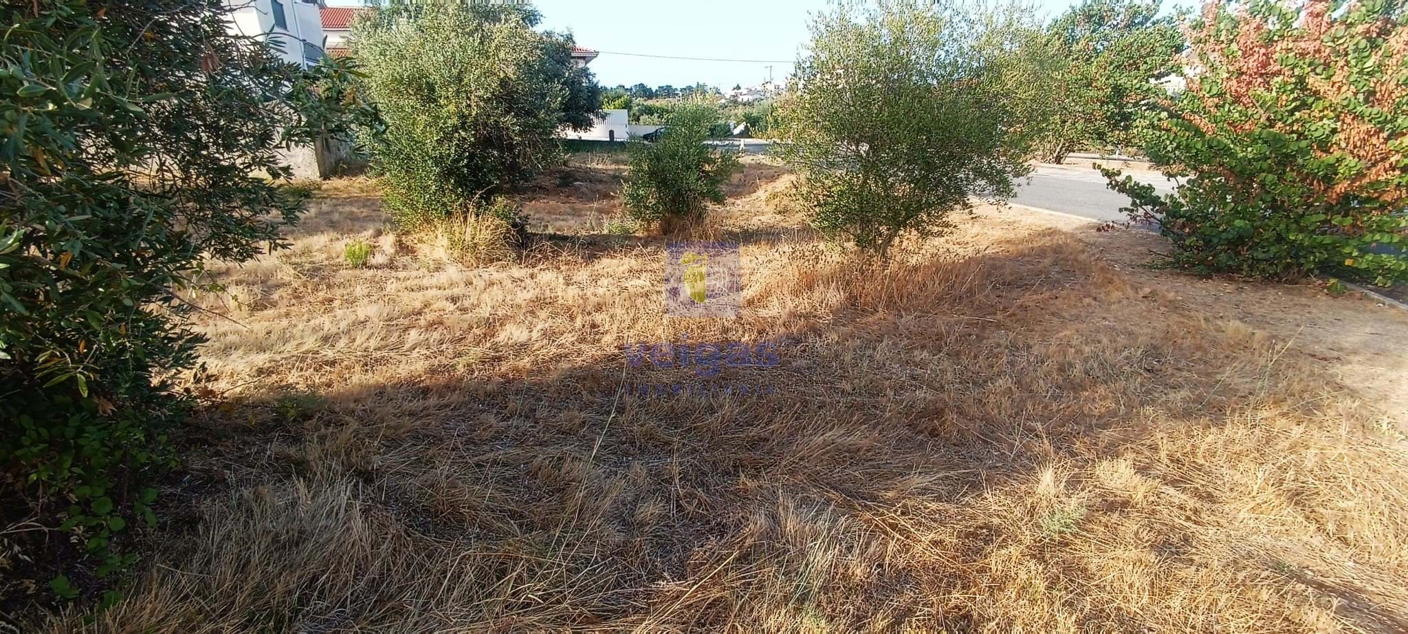 Terreno Urbano T0 - Alcanena, Alcanena, Santar�m - Miniatura: 5/14