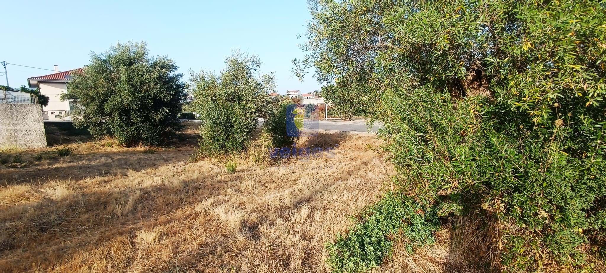 Terreno Urbano T0 - Alcanena, Alcanena, Santar�m - Miniatura: 6/14