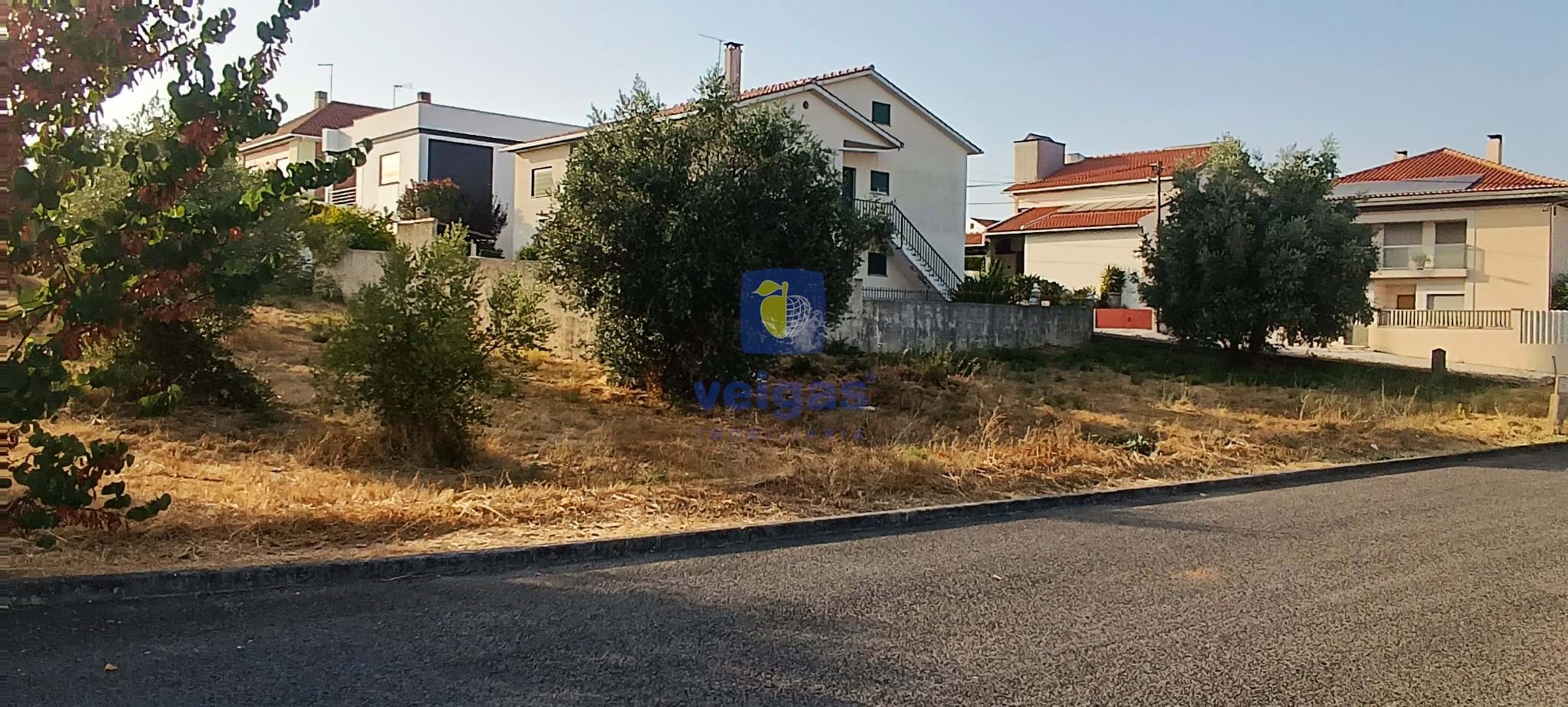 Terreno Urbano T0 - Alcanena, Alcanena, Santar�m - Miniatura: 7/14