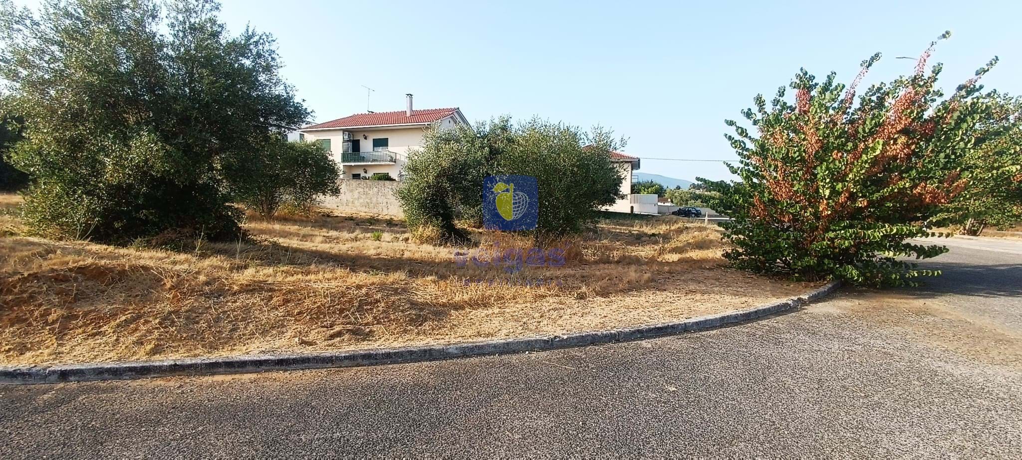 Terreno Urbano T0 - Alcanena, Alcanena, Santar�m - Miniatura: 8/14
