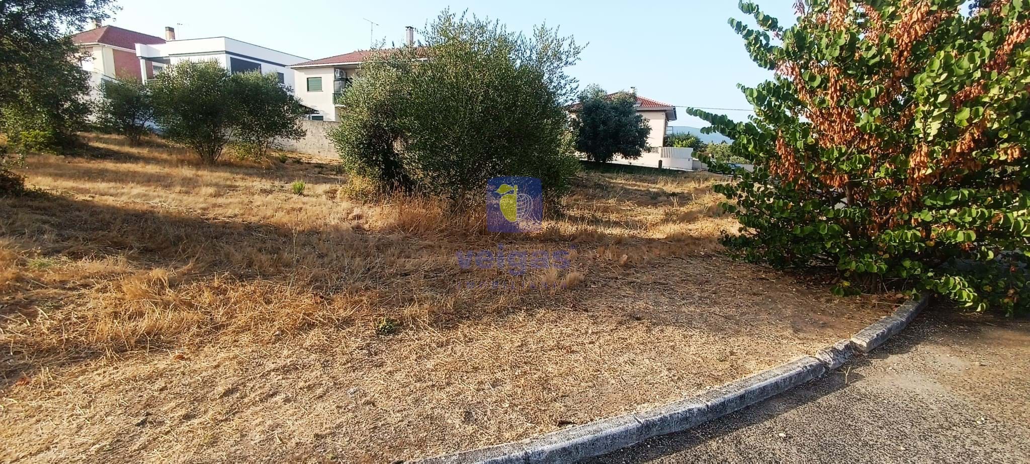 Terreno Urbano T0 - Alcanena, Alcanena, Santar�m - Miniatura: 10/14