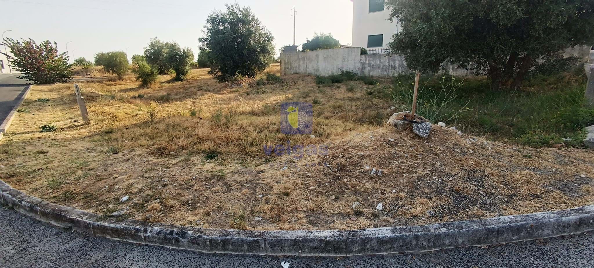 Terreno Urbano T0 - Alcanena, Alcanena, Santar�m - Miniatura: 11/14