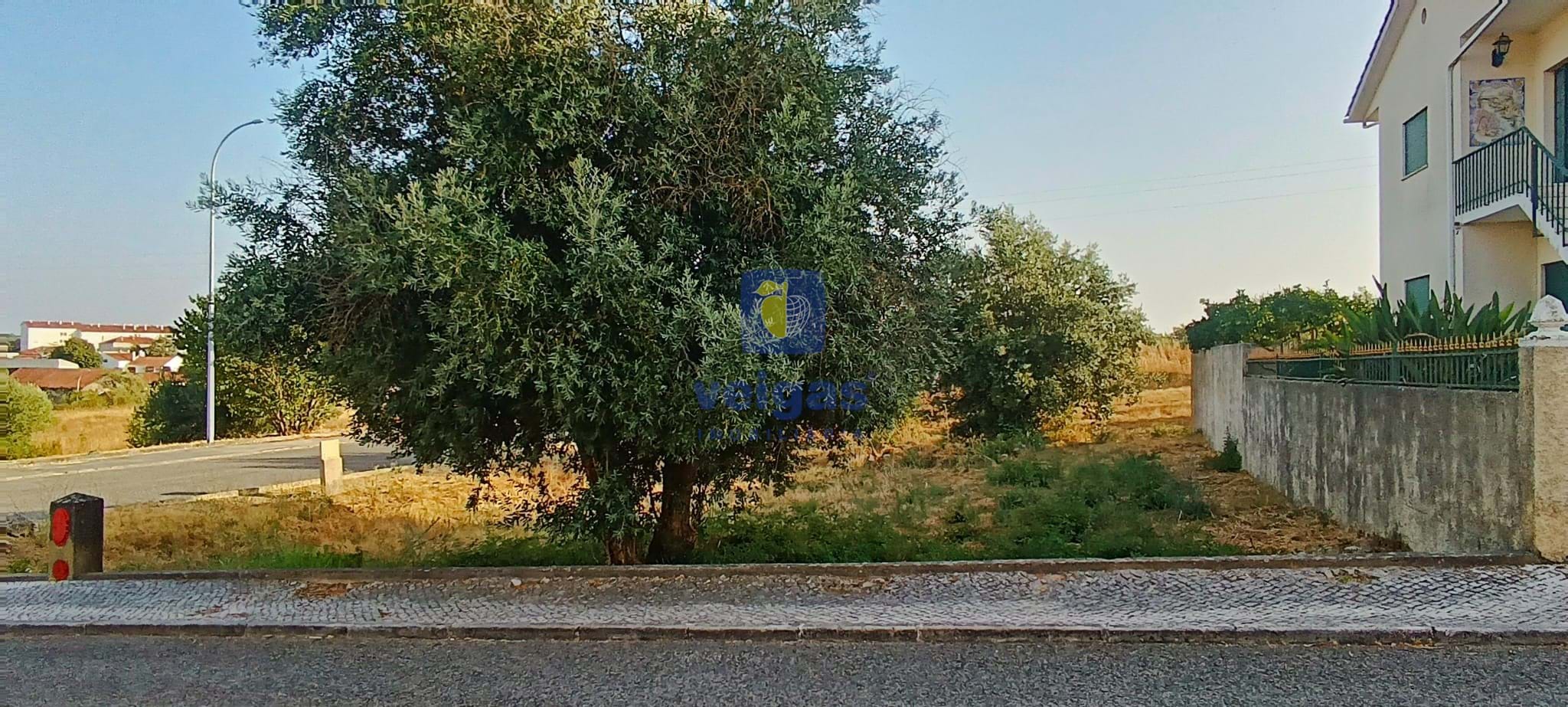 Terreno Urbano T0 - Alcanena, Alcanena, Santar�m - Miniatura: 12/14
