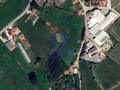 Terreno Urbano T0 - Cela, Alcobaa, Leiria