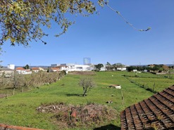 Terreno Urbano T0 - Cela, Alcobaa, Leiria - Miniatura: 2/25