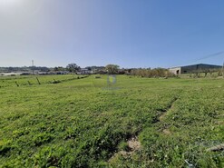 Terreno Urbano T0 - Cela, Alcobaa, Leiria - Miniatura: 5/25