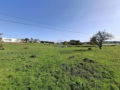 Terreno Urbano T0 - Cela, Alcobaa, Leiria - Miniatura: 7/25
