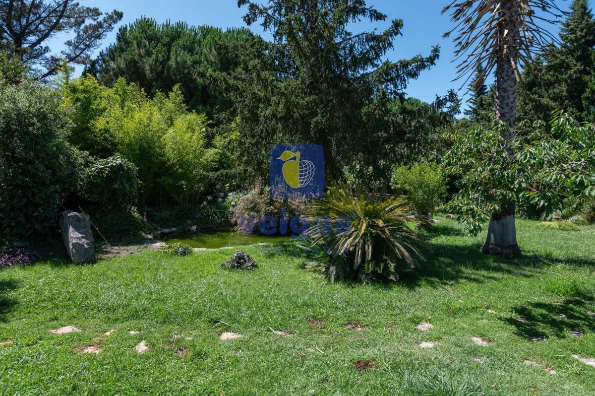 Moradia T3 - Turquel, Alcoba�a, Leiria - Miniatura: 15/42