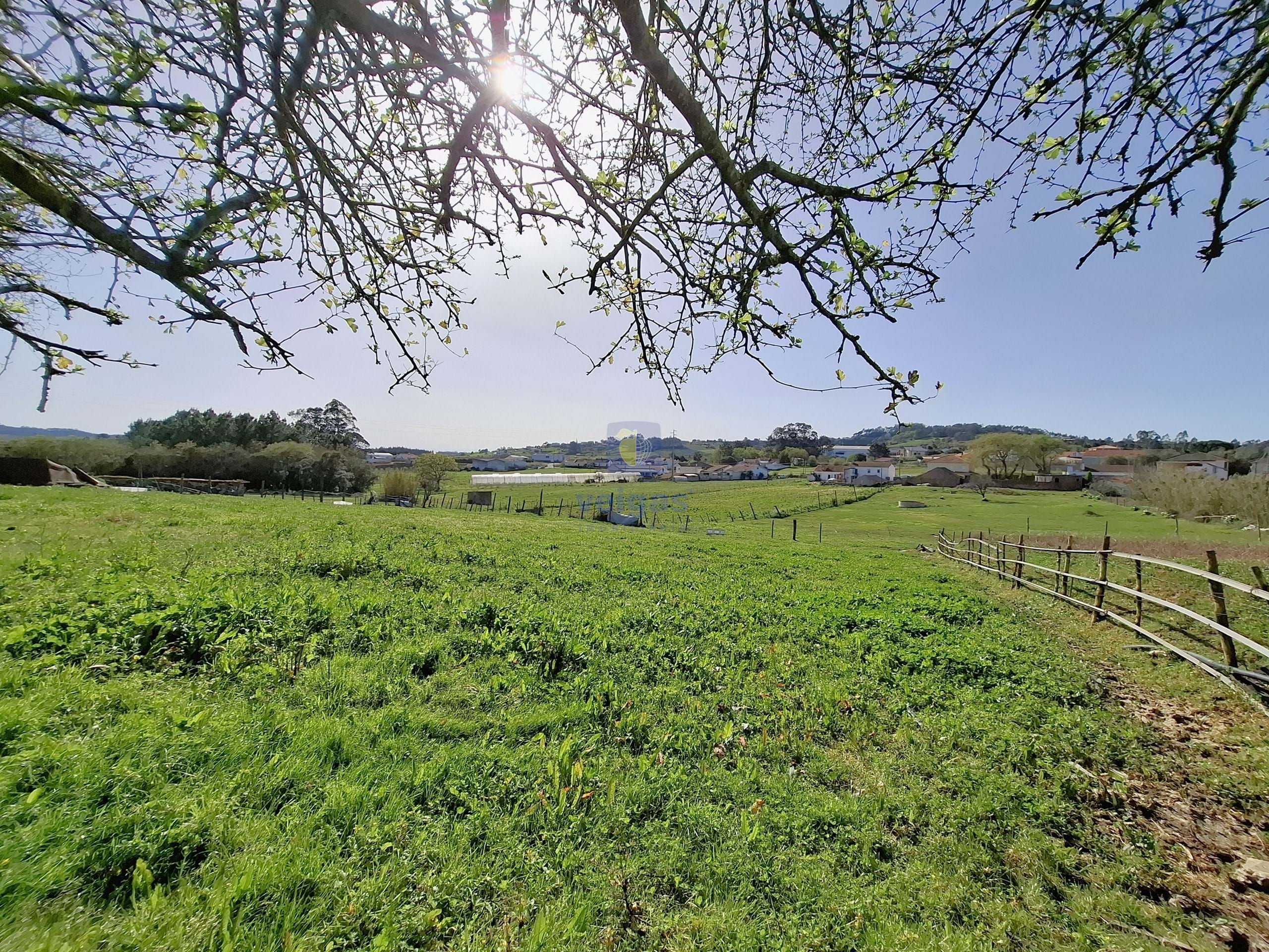 Terreno Urbano T0 - Cela, Alcoba�a, Leiria