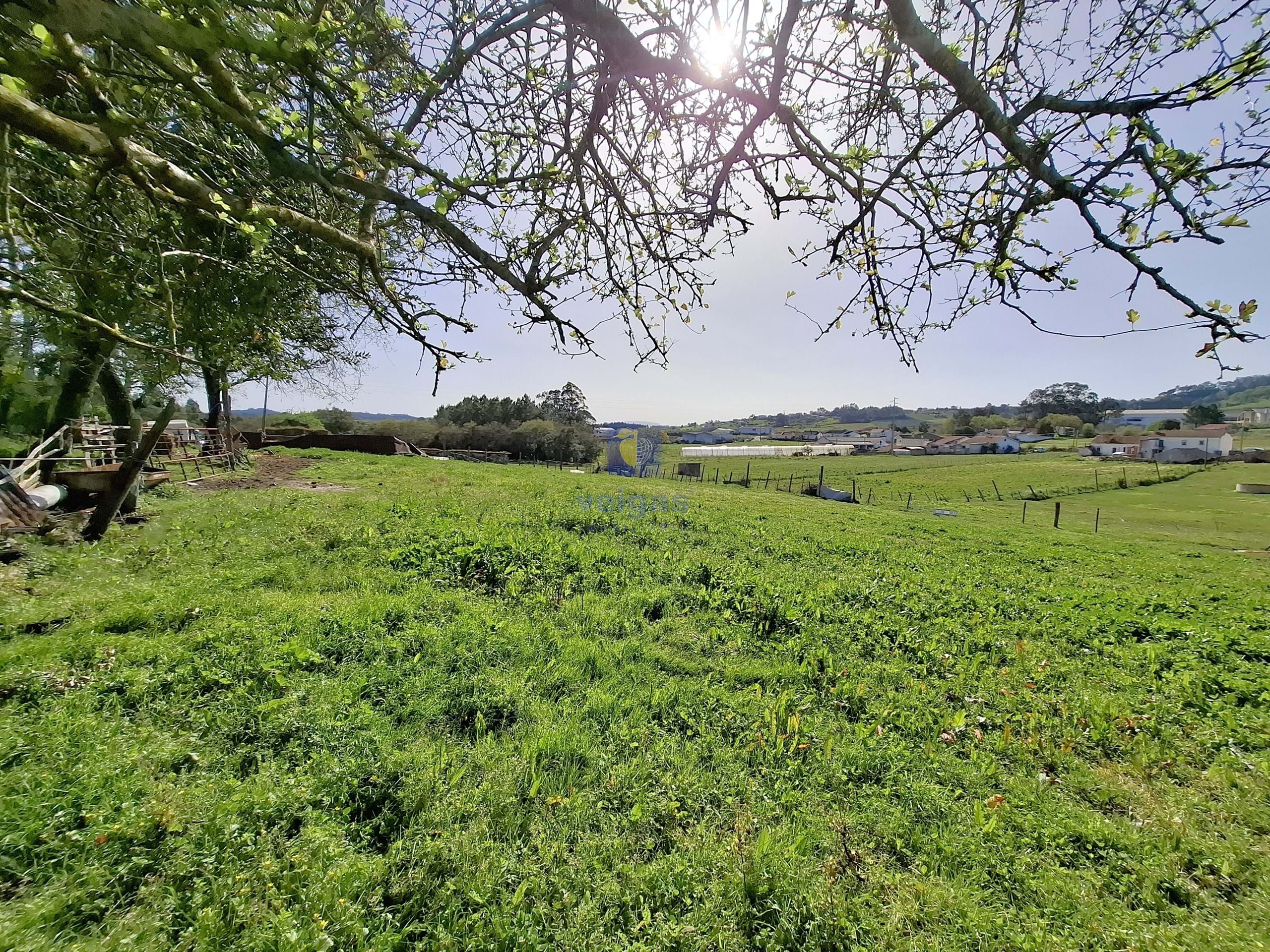 Terreno Urbano T0 - Cela, Alcoba�a, Leiria - Miniatura: 4/26