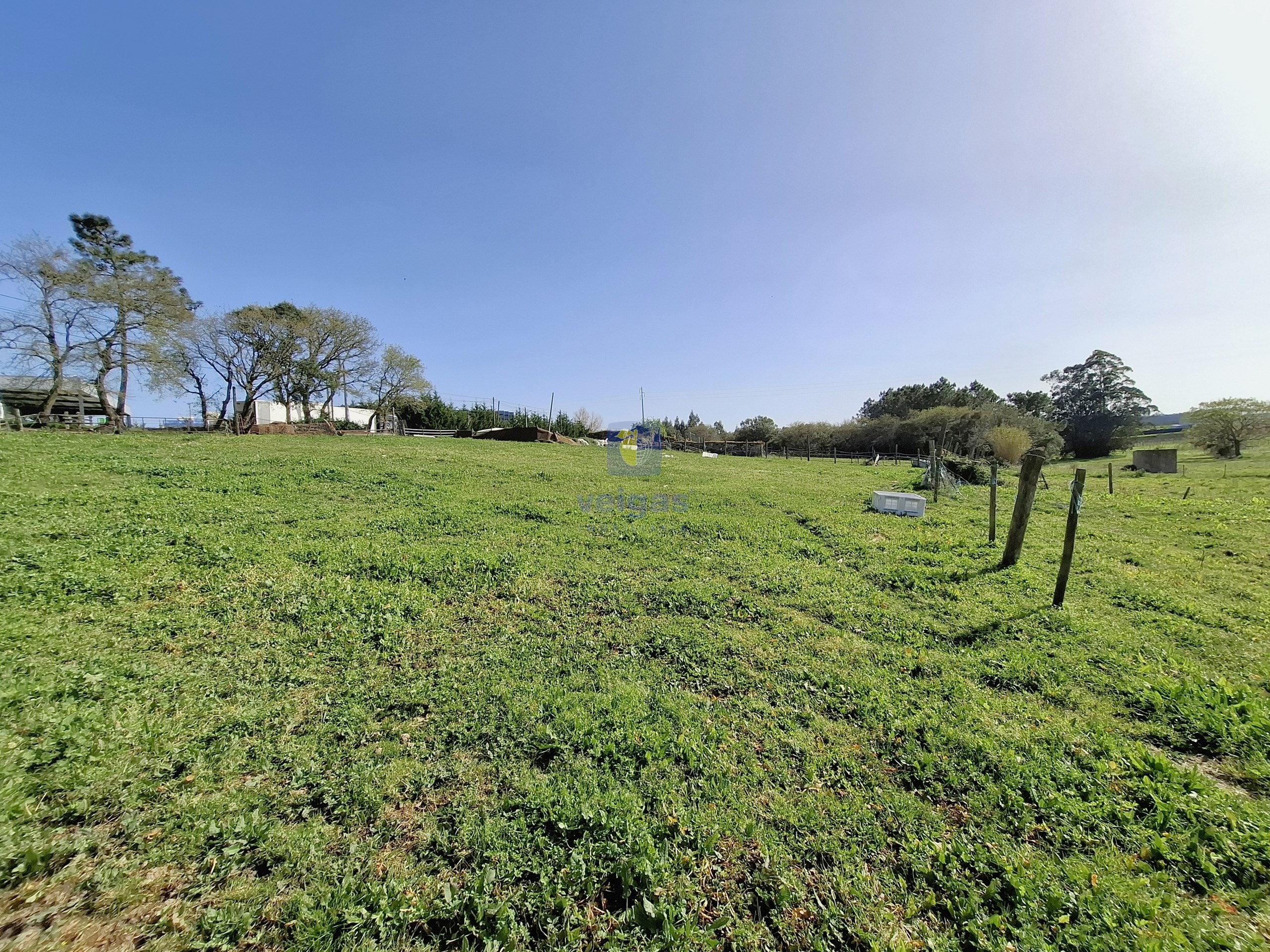 Terreno Urbano T0 - Cela, Alcoba�a, Leiria - Miniatura: 5/26