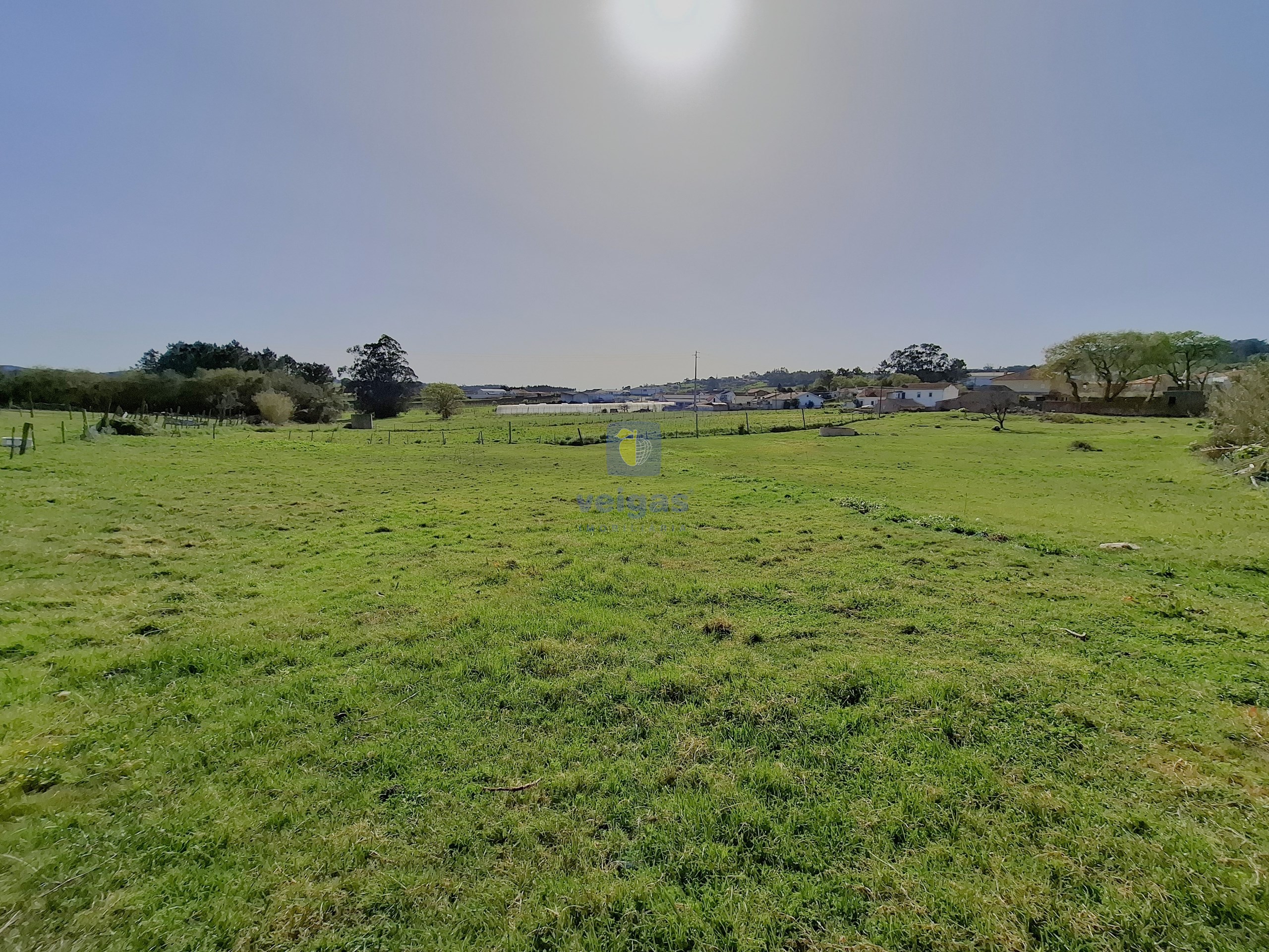 Terreno Urbano T0 - Cela, Alcoba�a, Leiria - Miniatura: 7/26