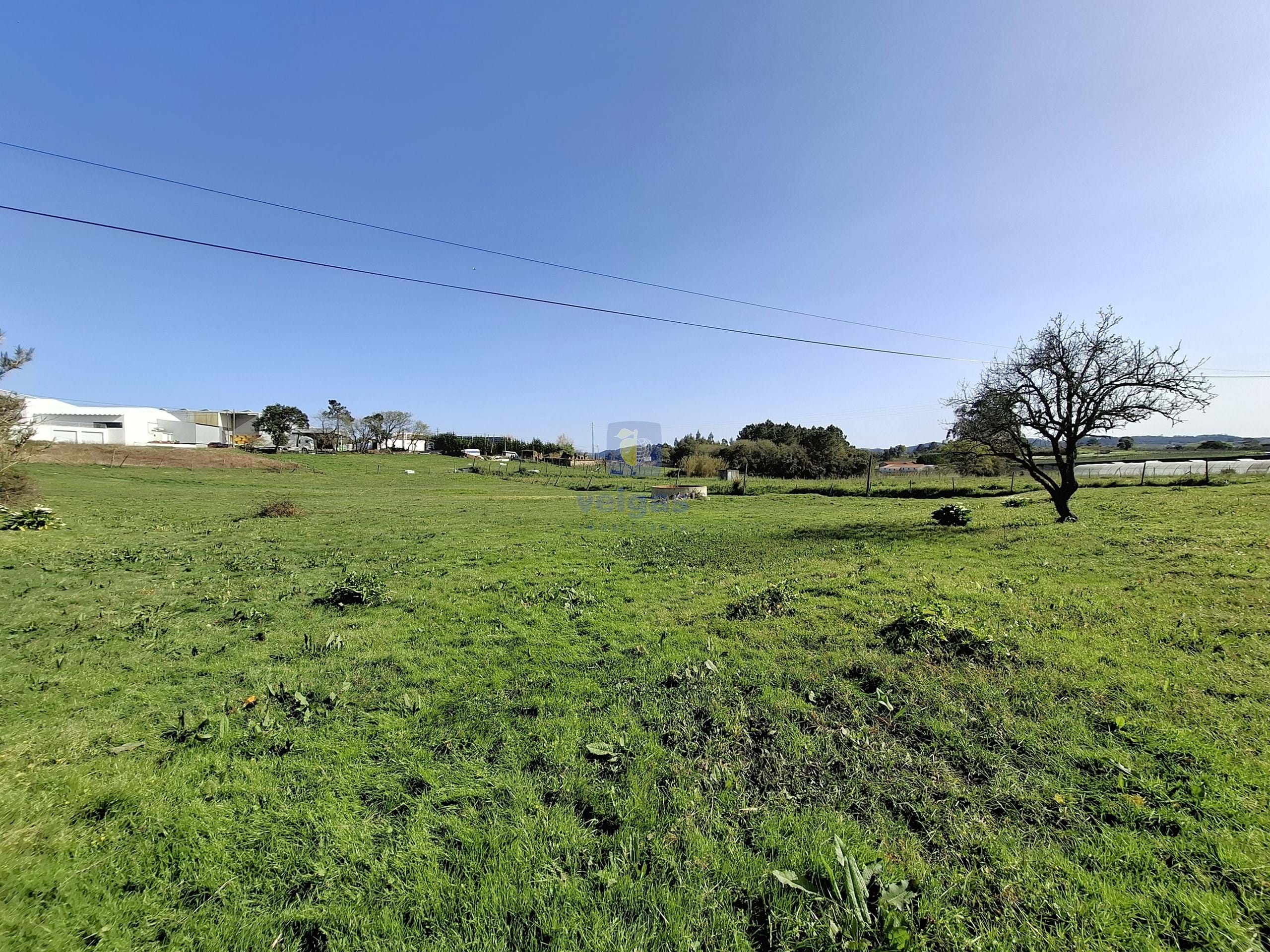 Terreno Urbano T0 - Cela, Alcoba�a, Leiria - Miniatura: 8/26