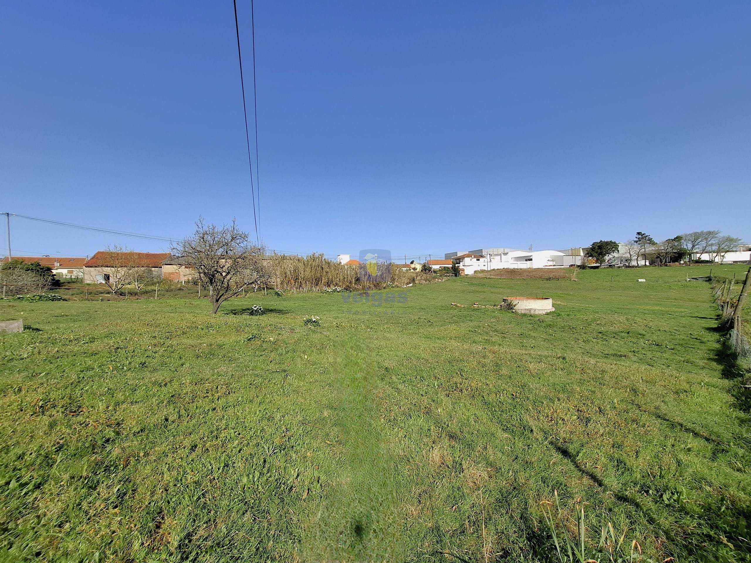 Terreno Urbano T0 - Cela, Alcoba�a, Leiria - Miniatura: 9/26