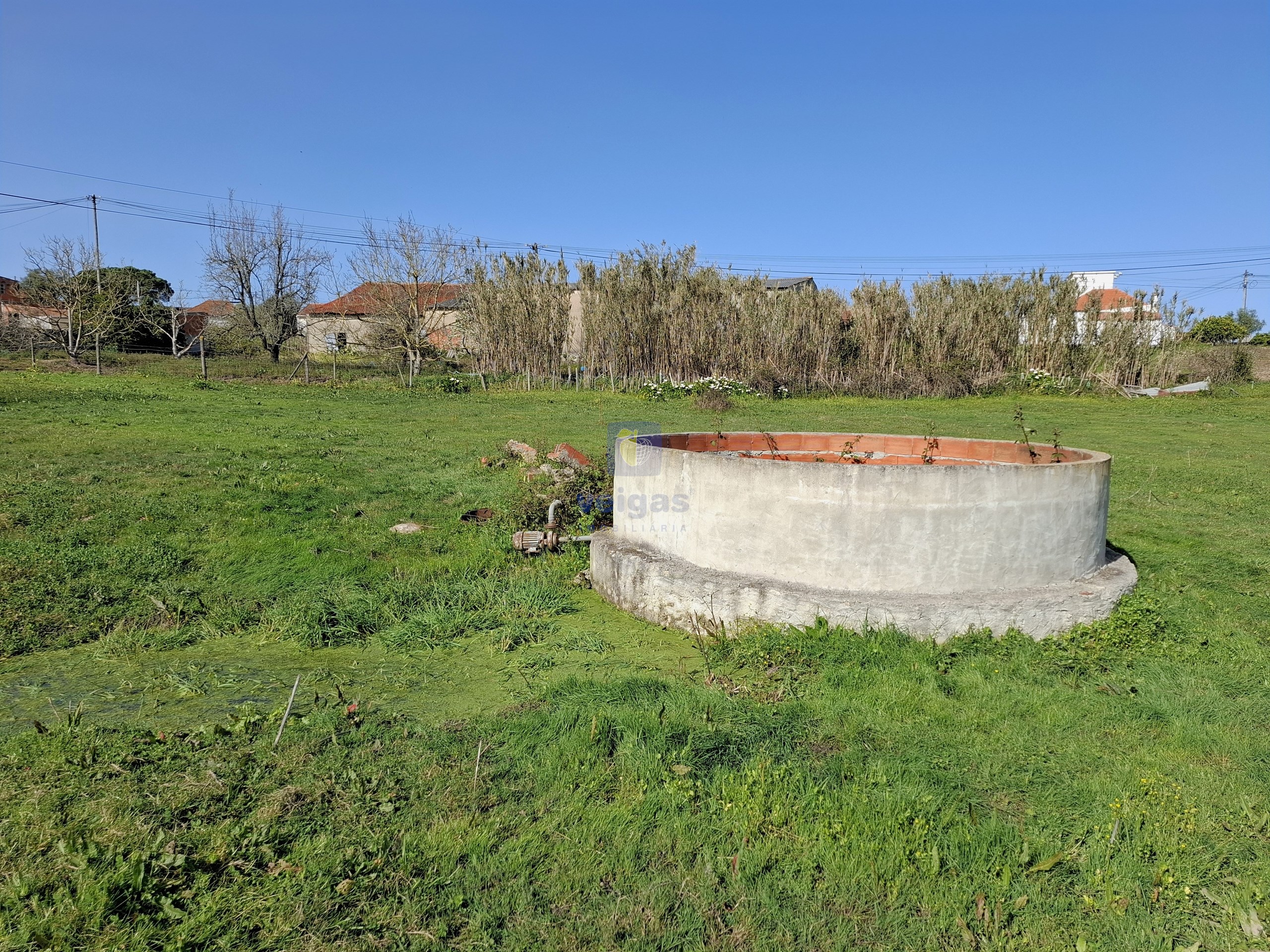 Terreno Urbano T0 - Cela, Alcoba�a, Leiria - Miniatura: 10/26
