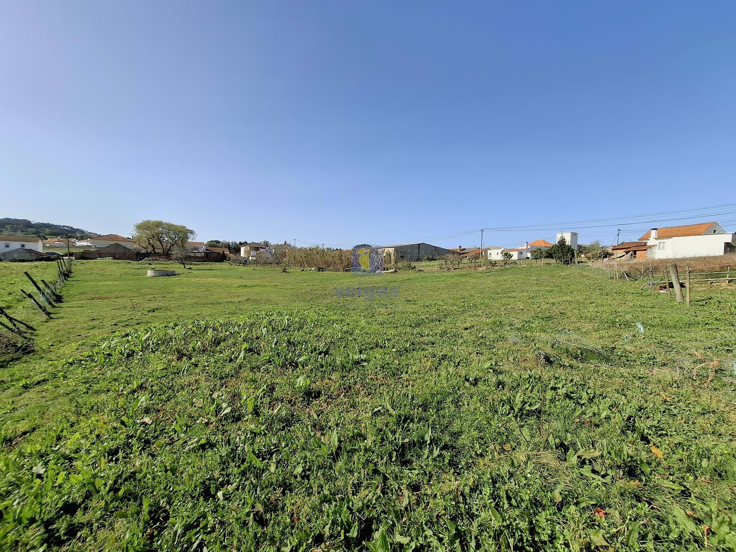 Terreno Urbano T0 - Cela, Alcoba�a, Leiria - Miniatura: 11/26