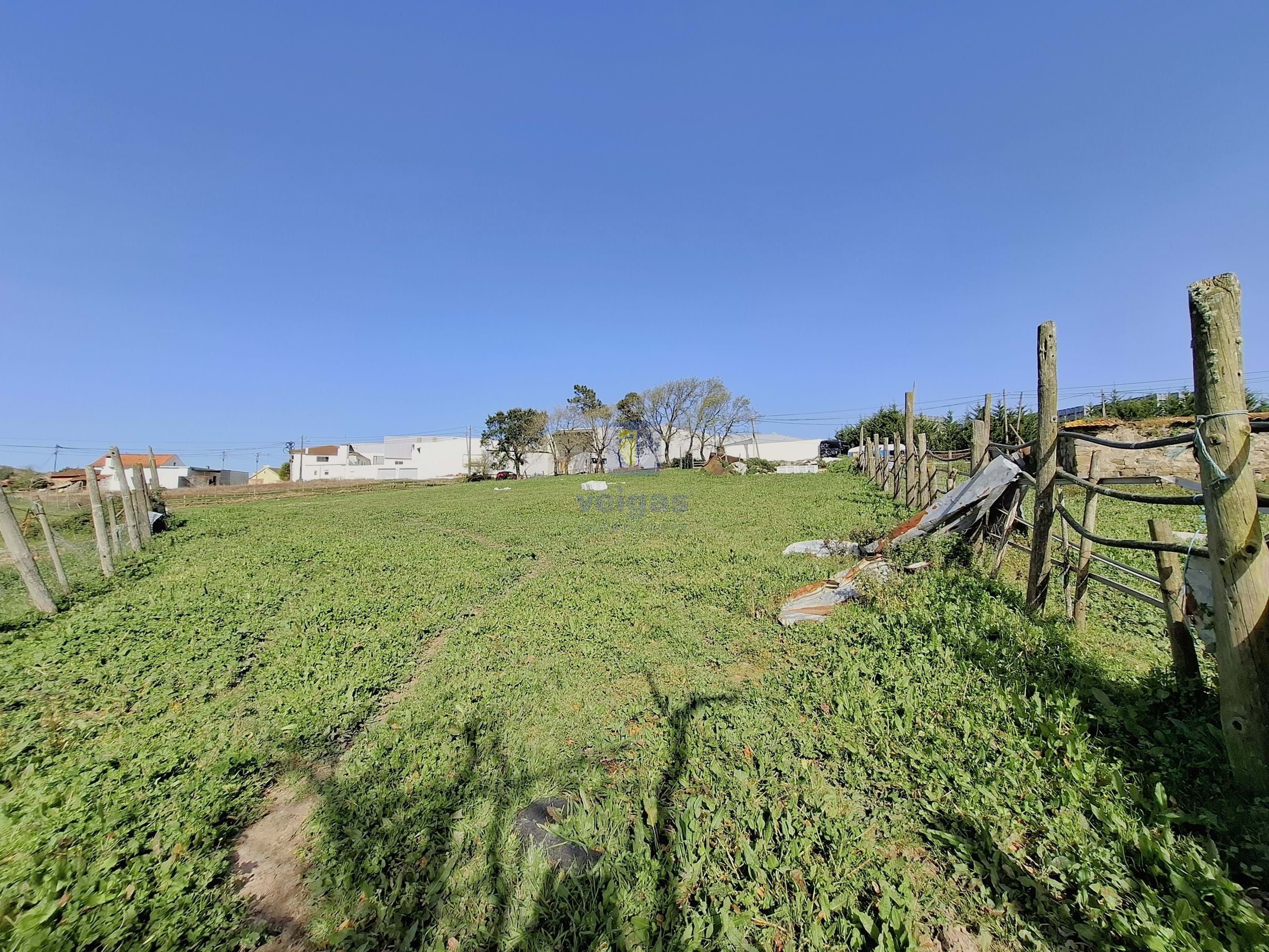 Terreno Urbano T0 - Cela, Alcoba�a, Leiria - Miniatura: 12/26