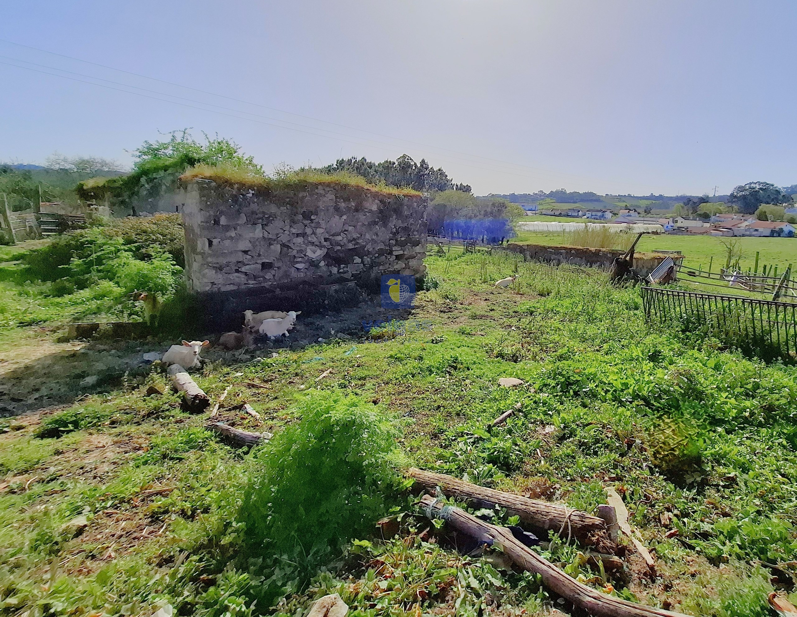 Terreno Urbano T0 - Cela, Alcoba�a, Leiria - Miniatura: 14/26