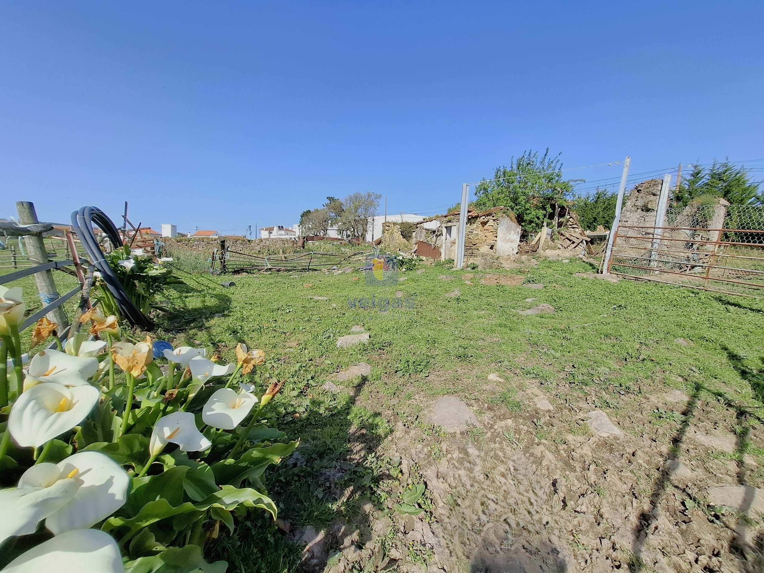 Terreno Urbano T0 - Cela, Alcoba�a, Leiria - Miniatura: 17/26