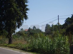 Terreno Rstico - Madalena, Tomar, Santarm