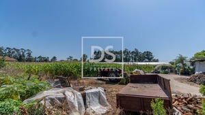 Terreno Urbano T0 - Apulia, Esposende, Braga