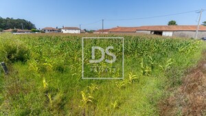 Terreno Urbano T0 - Apulia, Esposende, Braga - Miniatura: 8/8