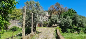 Quinta - Louredo, Vieira do Minho, Braga - Miniatura: 1/37