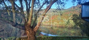 Quinta - Louredo, Vieira do Minho, Braga - Miniatura: 29/37