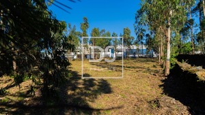 Terreno R�stico T0 - Apulia, Esposende, Braga - Miniatura: 1/6