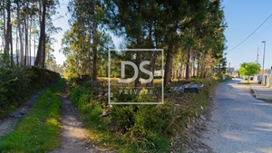 Terreno R�stico T0 - Apulia, Esposende, Braga - Miniatura: 2/6