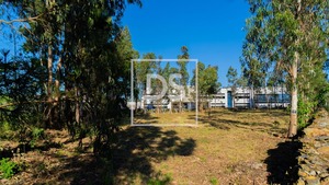 Terreno R�stico T0 - Apulia, Esposende, Braga - Miniatura: 3/6