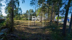 Terreno R�stico T0 - Apulia, Esposende, Braga - Miniatura: 4/6